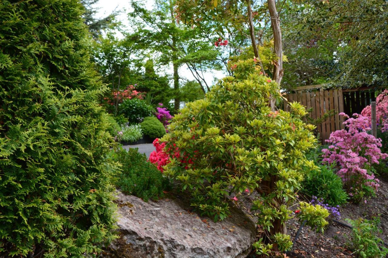 The Grove Lodge Guesthouse Killorglin Luaran gambar