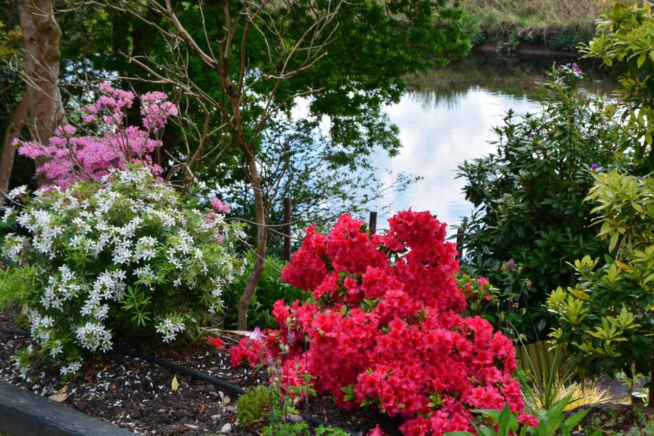 The Grove Lodge Guesthouse Killorglin Luaran gambar