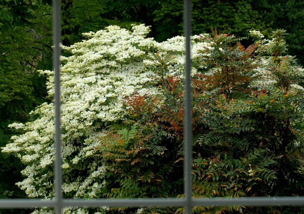 The Grove Lodge Guesthouse Killorglin Luaran gambar