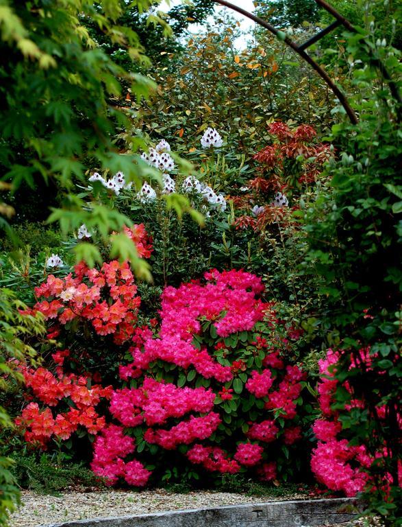 The Grove Lodge Guesthouse Killorglin Luaran gambar