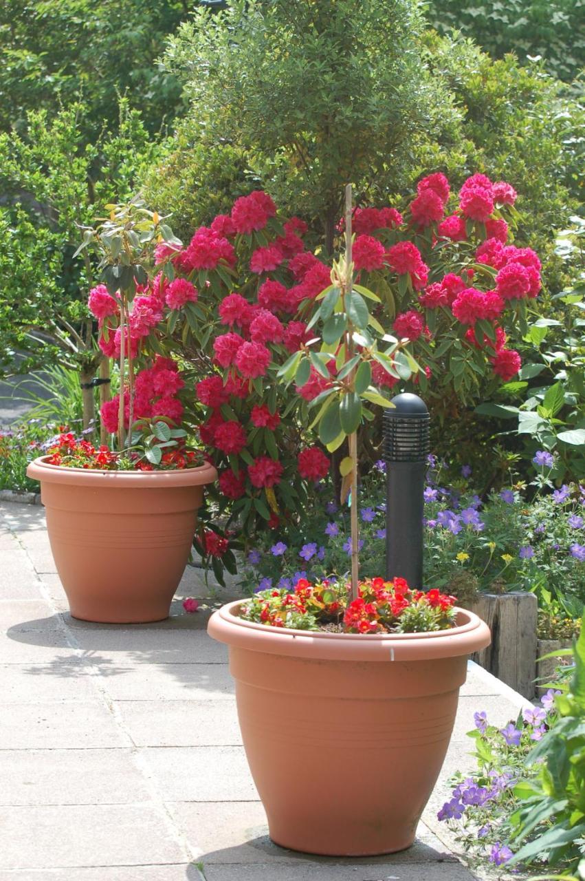 The Grove Lodge Guesthouse Killorglin Luaran gambar