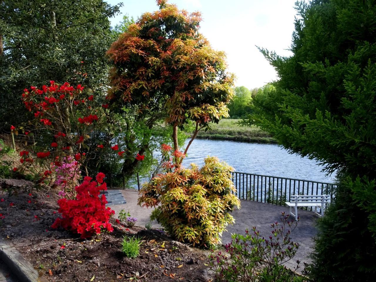 The Grove Lodge Guesthouse Killorglin Luaran gambar