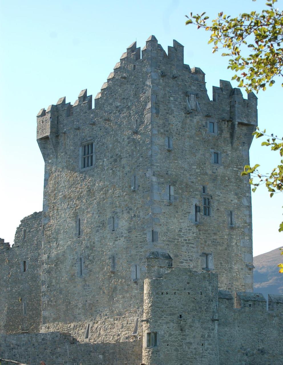 The Grove Lodge Guesthouse Killorglin Luaran gambar