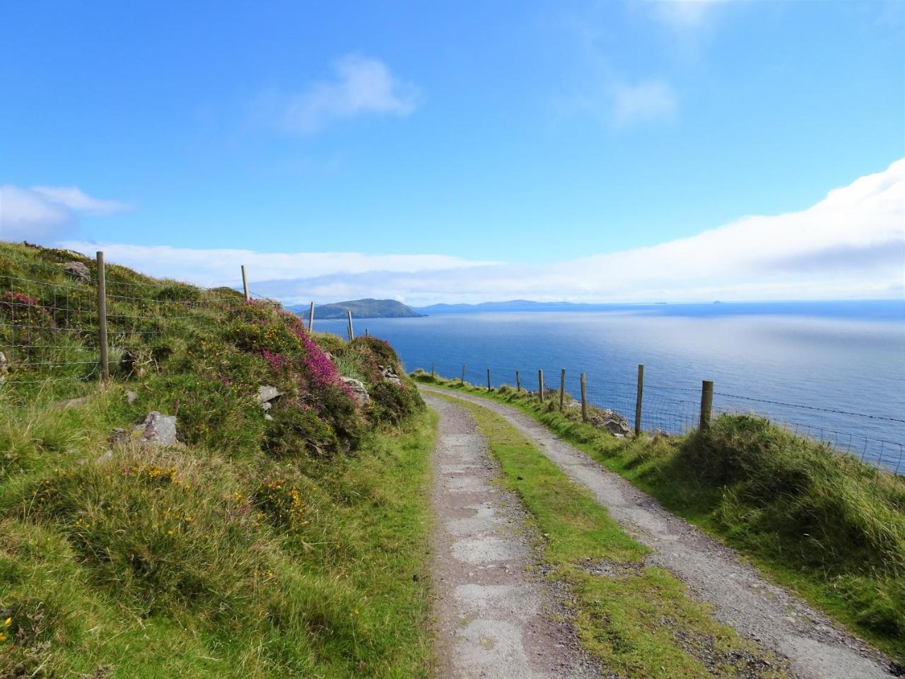The Grove Lodge Guesthouse Killorglin Luaran gambar